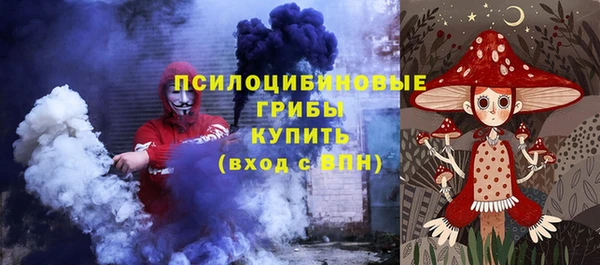 молекула духа Балахна