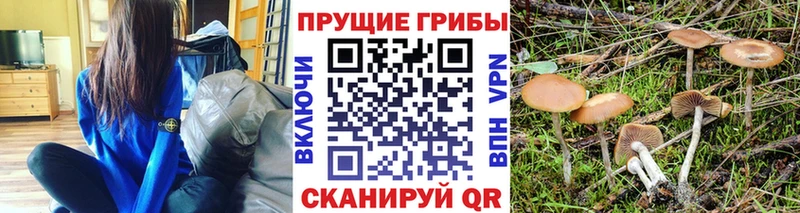 Псилоцибиновые грибы MAGIC MUSHROOMS  блэк спрут вход  Северо-Курильск  купить закладку 